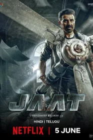 Jaat (2025) Hindi NetFlix WEB-DL H264 AAC 4K 1080p 720p 480p ESub