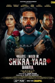 Maaye Main Ik Shikra Yaar Banaya (2025) S01 Punjabi CHTV WEB-DL H264 AAC4K 1080p 720p 480p ESub
