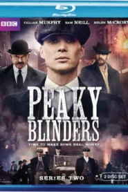 Peaky Blinders (2014) S02 Dual Audio [Hindi ORG-English] BluRay H264 AAC 1080p 720p 480p ESub [E06 Added]