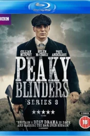 Peaky Blinders (2016) S03 Dual Audio [Hindi ORG-English] BluRay H264 AAC 1080p 720p 480p ESub [EP 05-06 Added]