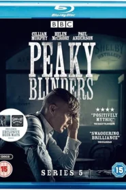 Peaky Blinders (2019) S05 Dual Audio [Hindi ORG-English] BluRay H264 AAC 1080p 720p 480p ESub [E05 Added]
