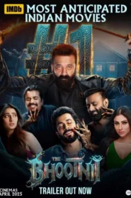 The Bhootnii (2025) Hindi HDRip H264 AAC 1080p 720p 480p HC-ESub