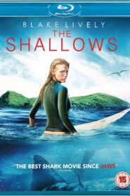 The Shallows (2016) Dual Audio [Hindi-English] BluRay H264 AAC 1080p 720p 480p ESub