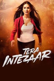 Tera Intezaar (2017) Hindi WEB-DL H264 AAC 1080p 720p 480p ESub