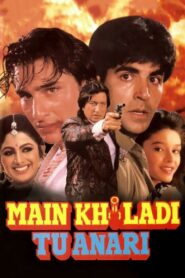 Main Khiladi Tu Anari (1994) Hindi WEB-DL H264 AAC 1080p 720p 480p ESub