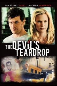 The Devils Teardrop (2010) Dual Audio [Hindi-English] BluRay H264 AAC 1080p 720p 480p ESub