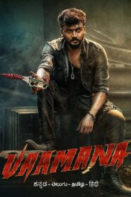Vaamana (2025) Uncut Dual Audio [Hindi ORG-Kannada] AMZN WEB-DL H265 AAC 1080p 720p 480p ESub