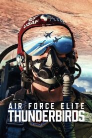 Air Force Elite Thunderbirds (2025) Dual Audio [Hindi-English] NetFlix WEB-DL H264 AAC 4K 1080p 720p 480p ESub