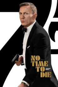 No Time to Die (2021) Dual Audio [Hindi ORG-English] BluRay H264 AAC 1080p 720p 480p ESub