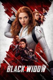 Black Widow (2021) Dual Audio [Hindi-English] BluRay H264 AAC 1080p 720p 480p ESub