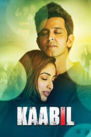 Kaabil (2017) Hindi NF WEB-DL H264 AAC 1080p 720p 480p ESub