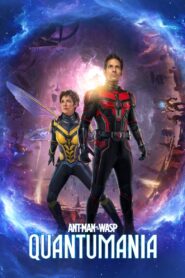 Ant-Man and the Wasp: Quantumania (2023) Dual Audio [Hindi-English] IMAX WEB-DL H264 AAC 1080p 720p 480p ESub