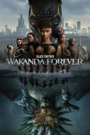 Black Panther: Wakanda Forever (2022) Dual Audio [Hindi-English] BluRay H264 AAC 1080p 720p 480p ESub