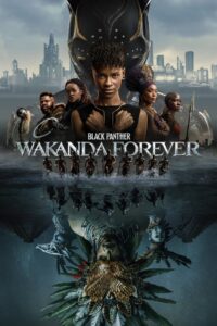 Black Panther: Wakanda Forever (2022) Dual Audio [Hindi-English] BluRay H264 AAC 1080p 720p 480p ESub