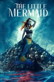 The Little Mermaid (2024) Dual Audio [Hindi-English] WEB-DL H264 AAC 1080p 720p 480p ESub