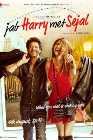 Jab Harry Met Sejal (2017) Hindi BluRay H264 AAC 1080p 720p 480p ESub