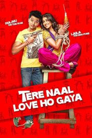 Tere Naal Love Ho Gaya (2012) Hindi NetFlix WEB-DL H264 AAC 1080p 720p 480p ESub