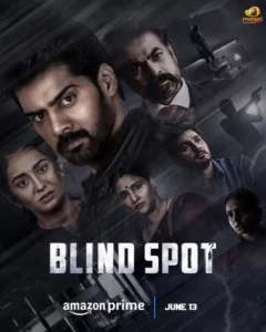 Blind Spot (2025) Dual Audio [Hindi-Tamil] AMZN WEB-DL H264 AAC 1080p 720p 480p ESub