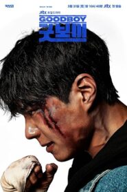 Good Boy (2025) S01 Dual Audio [Hindi-Korean] AMZN WEB-DL H264 AAC 1080p 720p ESub [EP 01-02 Added]