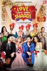 Love karu Yaa Shaadi (2025) Hindi PreDVDRip x264 AAC 1080p 720p 480p Download