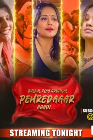 Pehredaaar Again (2025) S01E01-03 Hindi BulBulPlay WEB-DL H264 AAC 1080p 720p 480p Download