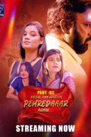 Pehredaaar Again (2025) S01E04-06 Hindi BulBulPlay WEB-DL H264 AAC 1080p 720p 480p Download