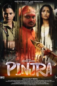 Pinjra (2025) Punjabi CHTV WEB-DL H264 AAC 1080p 720p 480p ESub