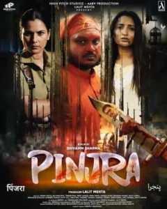 Pinjra (2025) Punjabi CHTV WEB-DL H264 AAC 1080p 720p 480p ESub