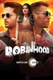 Robinhood (2025) Uncut Dual Audio [Hindi ORG-Telugu] WEB-DL x264 & x265(HEVC) 4K 1080p 720p 480p ESub