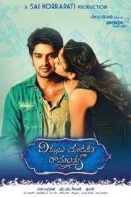 Dikkulu Choodaku Ramayya (2014) Dual Audio [Hindi-Telugu] WEB-DL H264 AAC 1080p 720p 480p ESub