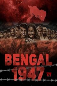Bengal 1947 (2024) Hindi AMZN WEB-DL H264 AAC 1080p 720p 480p ESub