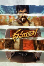Dhamaka (2022) Dual Audio [Hindi-Telugu] WEB-DL H264 AAC 4K 1080p 720p 480p ESub