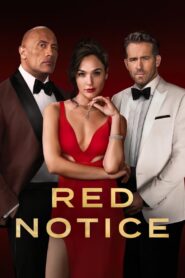 Red Notice (2021) Dual Audio [Hindi-English] NetFlix WEB-DL H264 AAC 1080p 720p 480p ESub