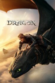 How to Train Your Dragon (2025) Dual Audio [Hindi Clean-English] HDRip H264 AAC 1080p 720p 480p Download