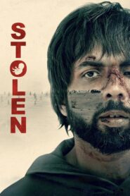 Stolen (2023) Hindi Dubbed ORG AMZN WEB-DL H264 AAC 4K 1080p 720p480p ESub