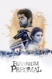 Pariyerum Perumal BA BL (2018) Tamil AMZN WEB-DL H264 AAC 1080p 720p 480p ESub
