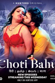 Choti Bahu (2023) S01 Hindi Hunters WEB-DL H264 AAC 1080p 720p 480p ESub