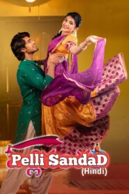 Pelli SandaD (2021) Dual Audio [Hindi ORG-Telugu] WEB-DL H264 AAC 1080p 720p 480p ESub