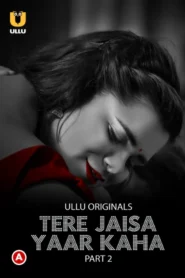 Tere Jaisa Yaar Kaha (2023) S01 Hindi Ullu WEB-DL H264 AAC 1080p 720p 480p Download