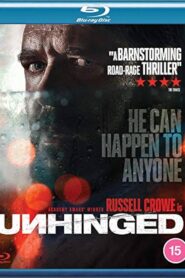 Unhinged (2020) Dual Audio [Hindi ORG-English] BluRay H264 AAC 1080p 720p 480p ESub