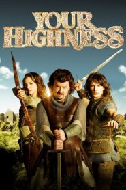 Your Highness (2011) Dual Audio [Hindi ORG-English] BluRay H264 AAC 1080p 720p 480p ESub