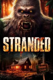 Stranded (2023) Dual Audio [Hindi-English] WEB-DL H264 AAC 720p 480p ESub