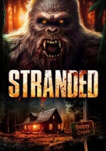 Stranded (2023) Dual Audio [Hindi-English] WEB-DL H264 AAC 720p 480p ESub
