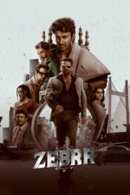 Zebra (2024) Dual Audio [Hindi ORG-Telugu] WEB-DL H264 AAC 1080p 720p 480p ESub