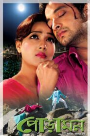 Pora Mon (2013) Bengali Bongo WEB-DL H264 AAC 1080p 720p 480p Download