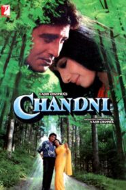 Chandni (1989) Hindi WEB-DL H264 AAC 1080p 720p 480p Download