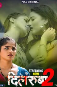 Dilruba (2025) S01E05-08 Hindi LookEntertainment WEB-DL H264 AAC 1080p 720p 480p Download
