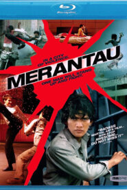 Merantau (2009) Dual Audio [Hindi ORG-English] BluRay H264 AAC 1080p 720p 480p ESub