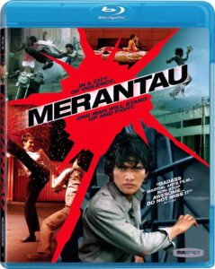 Merantau (2009) Dual Audio [Hindi ORG-English] BluRay H264 AAC 1080p 720p 480p ESub