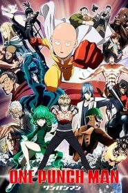 One Punch Man (2015) S01 Hindi WEB-DL H264 AAC 1080p 720p 480p ESub